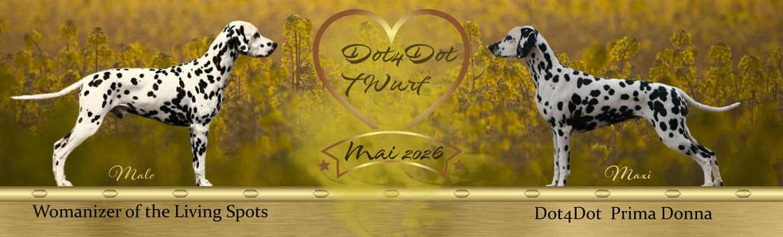 Kopfbild HP